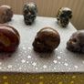 Beautiful Skullies Image 6