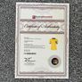 Pele Signed Brazil Shirt (1970) / Framed with COA / Genuine Collectors Item Image 2