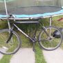 retro adult mountain bike Image 3