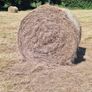 hay Image 3