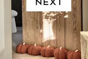 Halloween Decorations