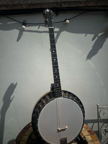Vega Litlte Wonder Tenor banjo