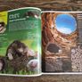 Polish Children's Nature Book, Age 6+ Image 7