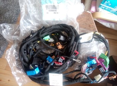 Fiat Ducato 2006-2014 Cable Harness 1359500080 Genuine New