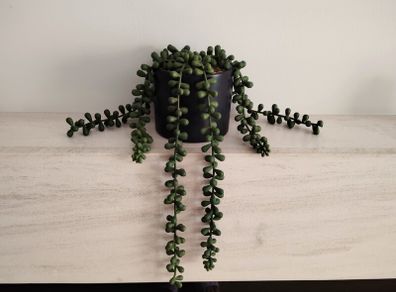 Green Artificial Trailing Plant in black pot - Next