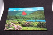 Ireland Postcard : Head of Killary Harbour , Co. Mayo - 1970s