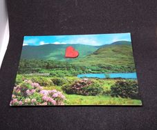 Ireland Postcard : Head of Killary Harbour , Co. Mayo - 1970s