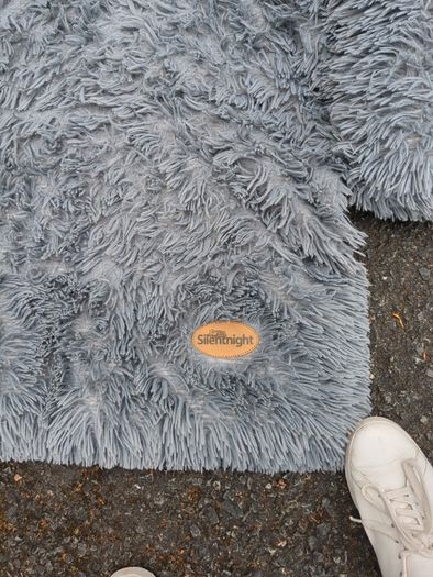 dog bed