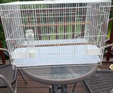 Cage
