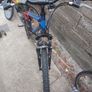 bicycle kids Image 5