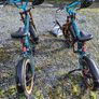 Pair Fiido M1 Pro E-Bike Near New Image 4