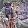 Bargain 6-9 month baby girls clothes bundle Image 2