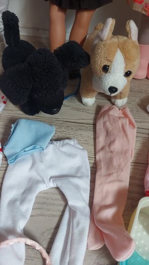 Our Generation Dolls and Accessories