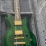 Indie Electric Guitar & Hard Case Image 2