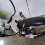 Frog 48 Image 2