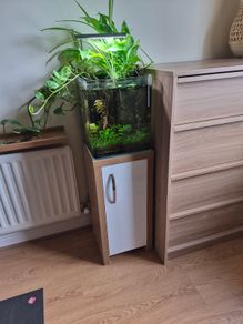 White Glass Aquarium (Complete Set-up)