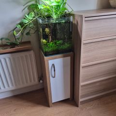 White Glass Aquarium (Complete Set-up)