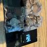 370 coins Image 2