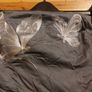 Oasis summer strapless grey mini dress (free postage) Image 3