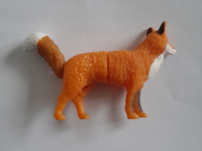 Kinder - Fox