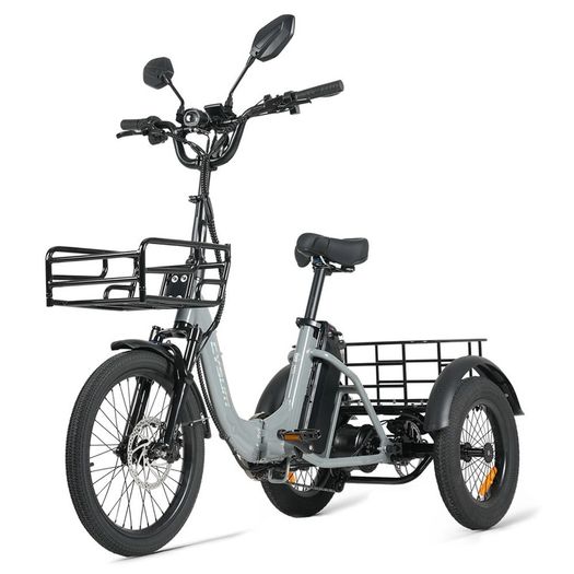 Free Delivery on Electric Tricycle Trike Bikes Cargo Bike