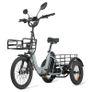 Free Delivery on Electric Tricycle Trike Bikes Cargo Bike Image 2