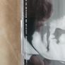 PJ Harvey CD  - Rid Of Me Image 2