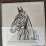 Arkle Framed Drawing/Print Image 8