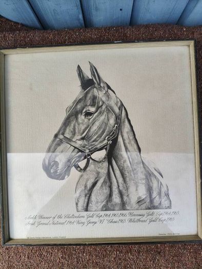 Arkle Framed Drawing/Print
