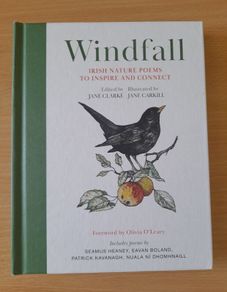 REDUCED PRICE Windfall, illustrated Irish poems