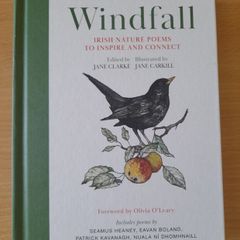 REDUCED PRICE Windfall, illustrated Irish poems