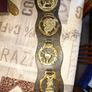 Horse Brass Martingale Decorative Brass Plaques Mounted on a Leather Strap Image 2