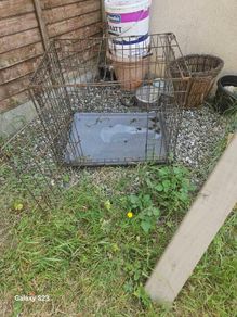 dog cage