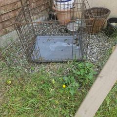 dog cage