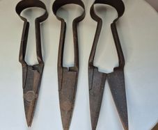 Set of 3 Antique Burgon & Ball Sheep Shears  Vintage Farmhouse Decor
