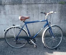 Raleigh Pioneer 140 Bicycle