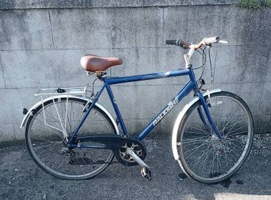 Raleigh Pioneer 140 Bicycle