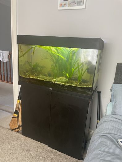 Juwel  125 litre tank and cabinet set