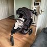 Phil & Teds Double Buggy Image 3