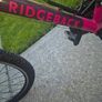 Ridgeback mountain bike for sale. Excellent / perfect condition and fully working. Front suspension, Shimano gears, quality Ridgeback frame and chunky MTB tyres. Very clean bike, rides perfectly and ready to go. Ideal for commuting, leisure cycling or lig Image 2