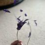 Purple Feather Head Piece Image 5