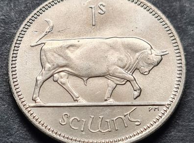 Ireland Excellent 1964 shilling Unc coin