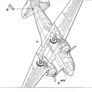Roden Image 10