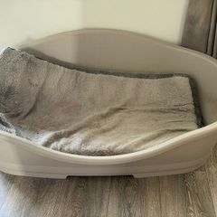 XL Dog bed for free with mattress