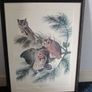 Framed Print of Audubon's Mottled Owl - Classic Bird Illustration by John James Audubon Image 2