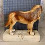 Hennessy Back Bar Figure Original 1950s Image 2