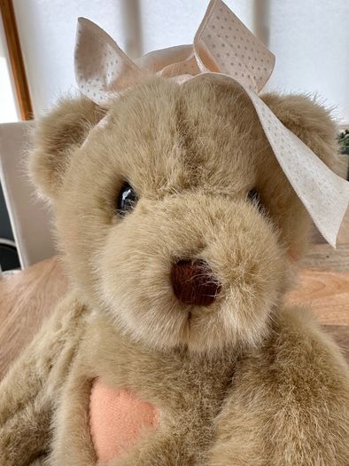 Cherished Teddies soft toy bear