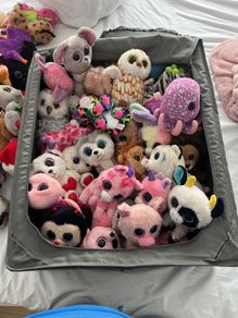 beanie boos