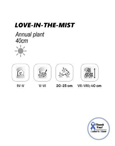 (N) Love-in-The-Mist Persian Jewel seeds 0.5g (approx. 210 seeds) (415601)