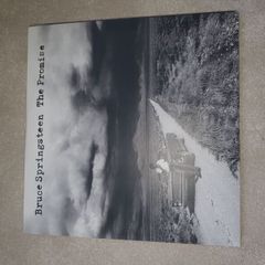 Springsteen vinyl